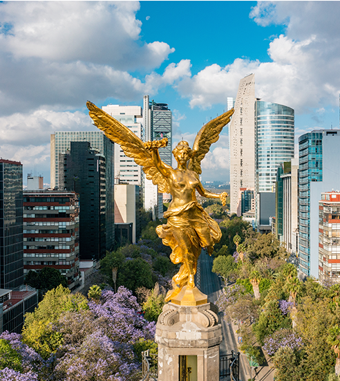 Mexico City Skyline
