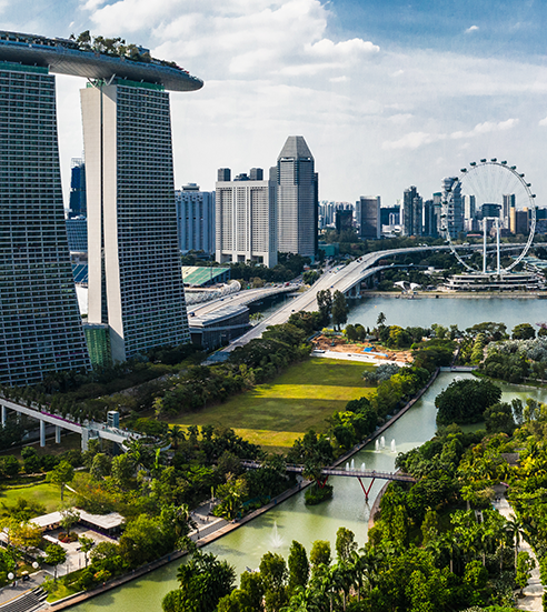 Joy of life at Gardens By The Bay, Singapore