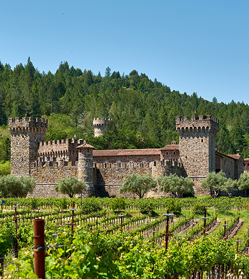 Vineyards with castle in California