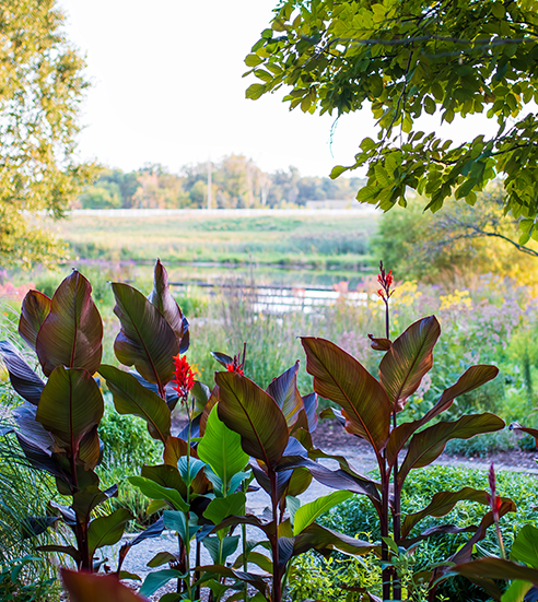 Scenic Michigan state university tollgate farm in Farmington Hills , Michigan