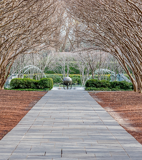 Dallas Arbitorium and Botanic Garden in Winter.